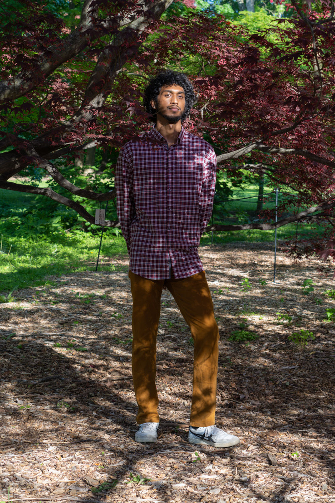 Racial Justice Through the Lens of Science, Poetry, and Photography ...