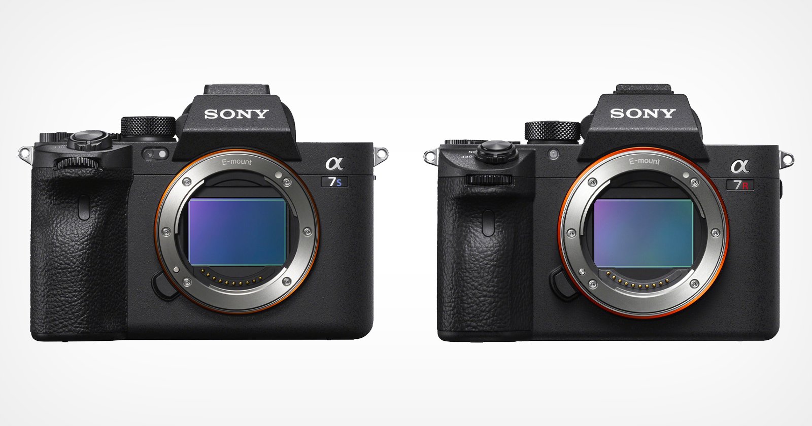 sony a7s3 sensor