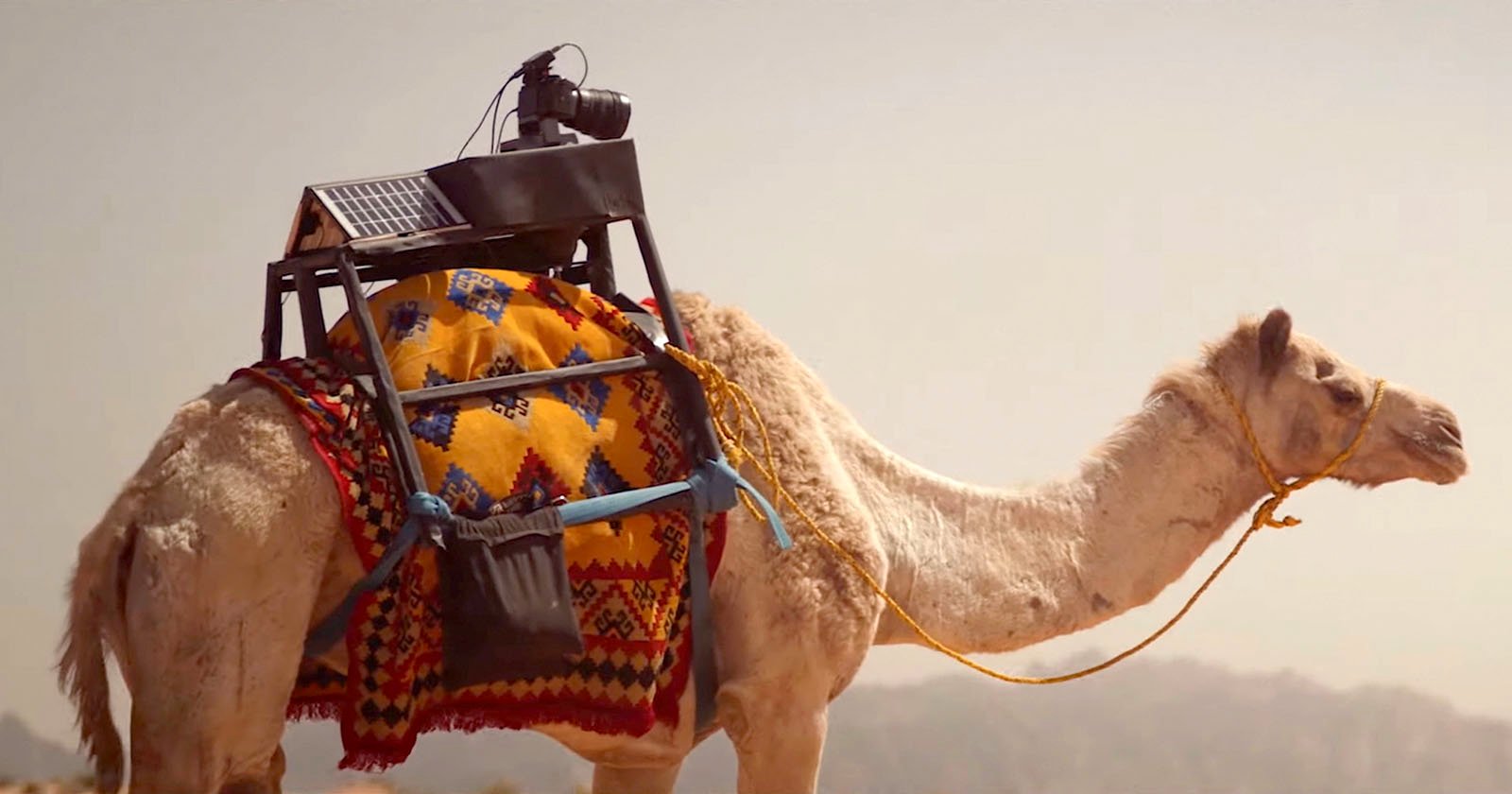 This Camera Camel Helps Shoot Hard-to-Reach Desert Locations | PetaPixel