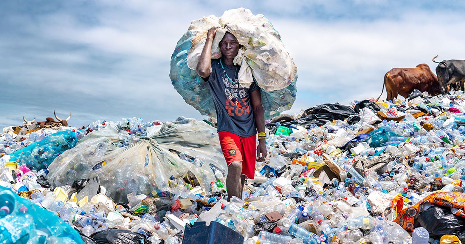 Eye-Opening Photos Show How Plastic Waste is Polluting Our Planet |  PetaPixel