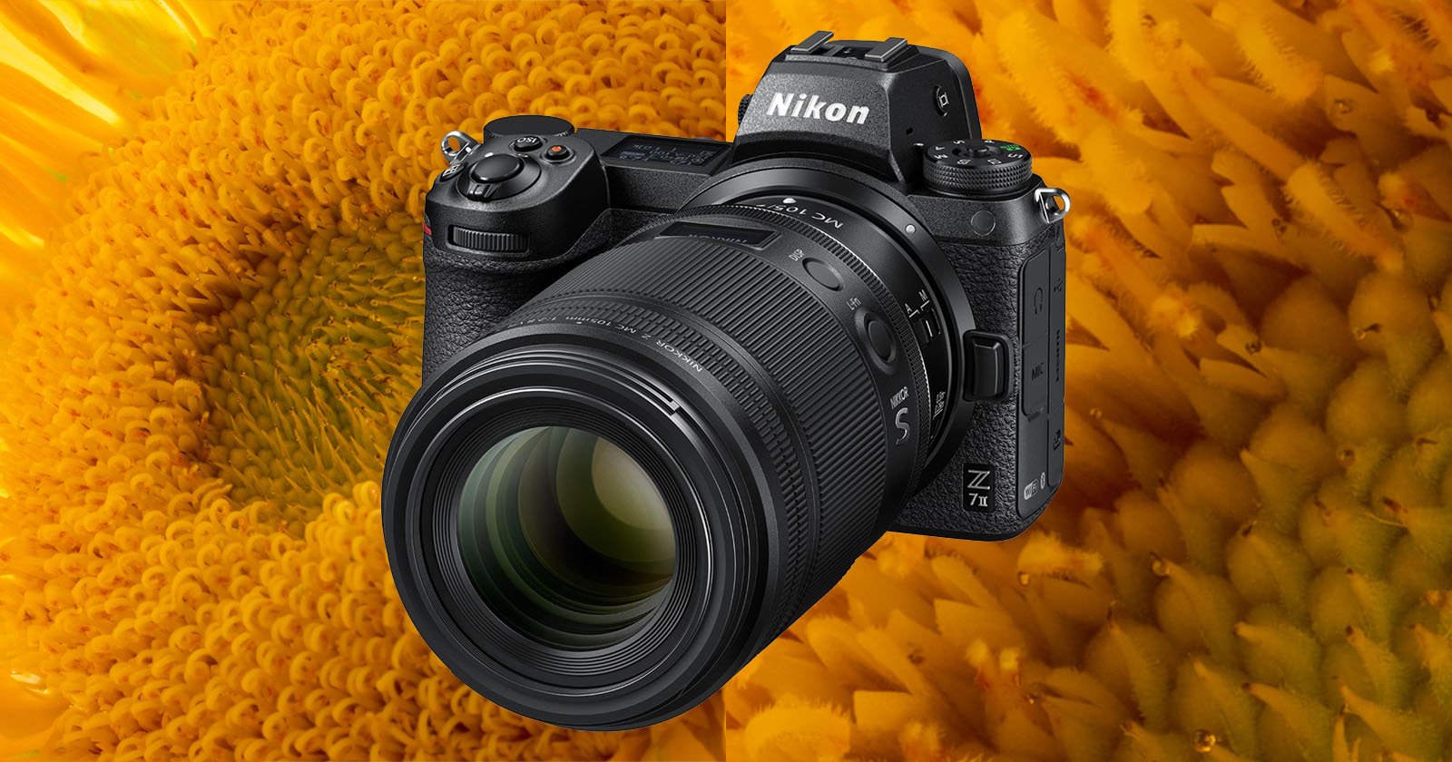 Nikon Z 105mm f/2.8 Macro Lens Review: A Stunning Tele Macro Combo