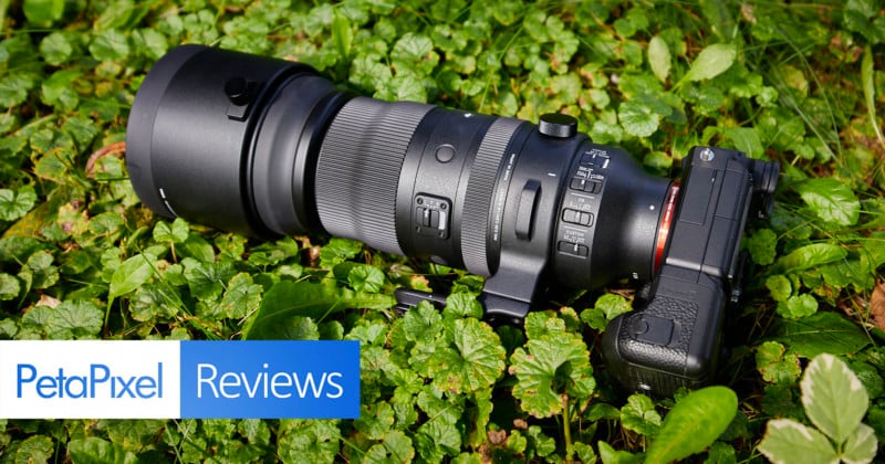 Sigma 150-600mm f/5-6.3 DG DN Sports Lens Review: Worthy of