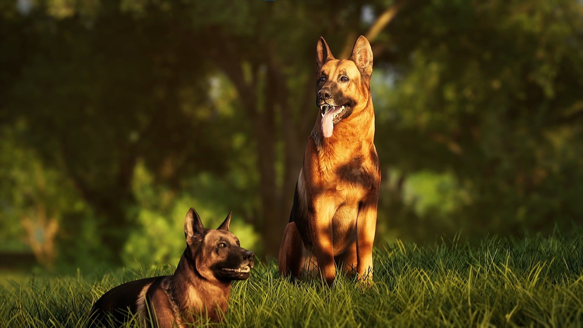 'Photography Simulator' is a Wildlife Photography Video Game for PC ...