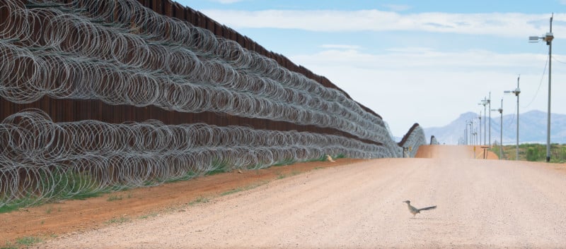 Roadrunner Blocked by U.S. Border Wall Wins Best Bird Photo of 2021 |  PetaPixel