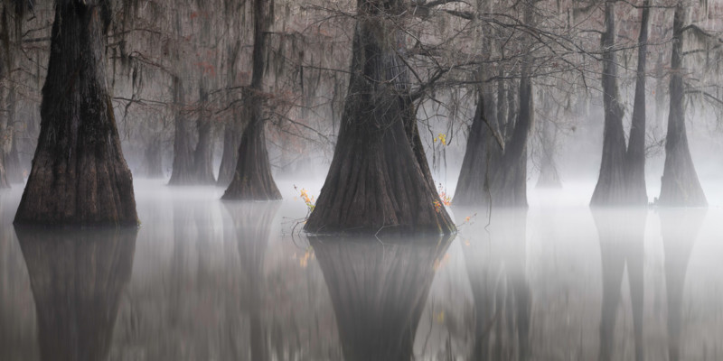 The Best Panoramic Photos of 2021: Epson International Pano Awards