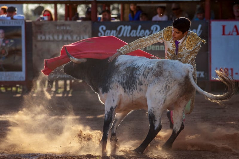 Matador Cayetano Delgado touches between the shoulders on the back of the bull to symbolize the end of the bullfight with a “kill.” January 12, 2020. (Katie Hayes Luke)