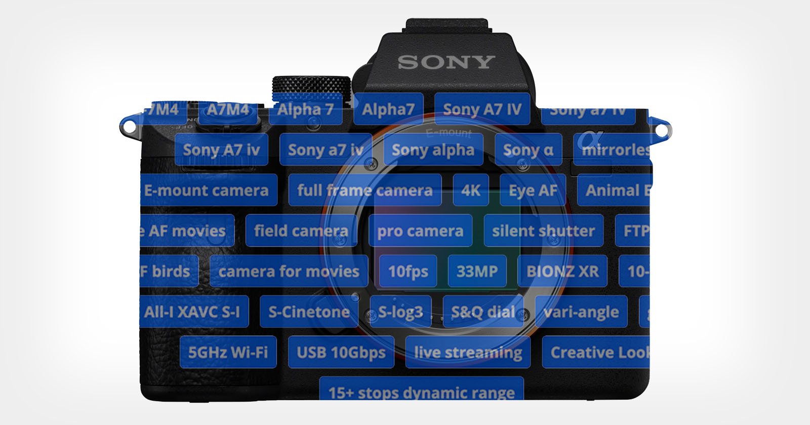 New Sony Alpha 7 IV Showcases a 33-Megapixel Full-frame Image Sensor