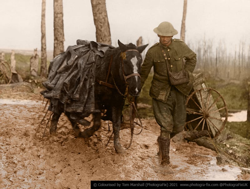 Colorized photograph by Tom Marshall