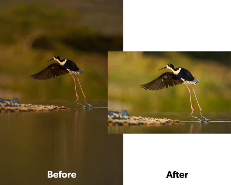 Before and after basic adjustments in Capture One including cropping, leveling, exposure, white balance, and adding vignette.