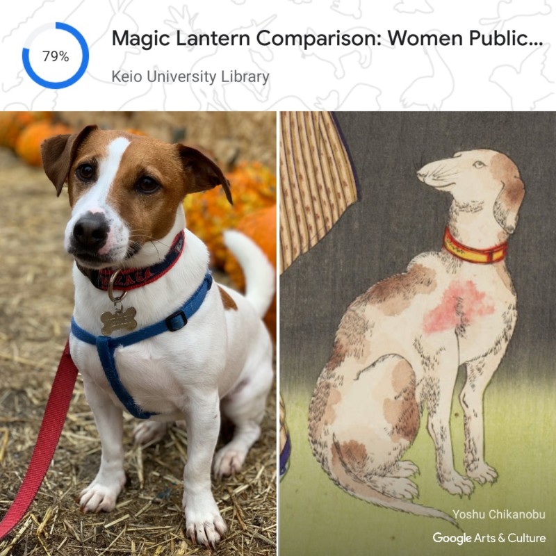 Google Can Now Find Art That Looks Like Your Pet | PetaPixel
