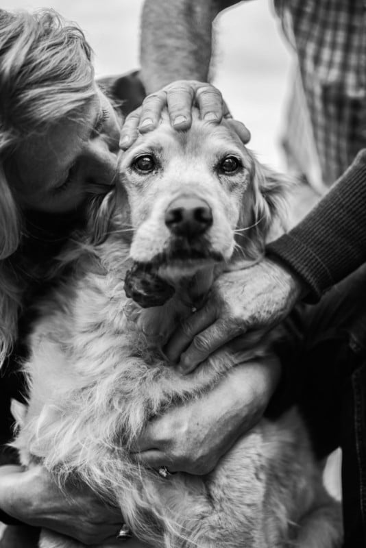 dog waving goodbye