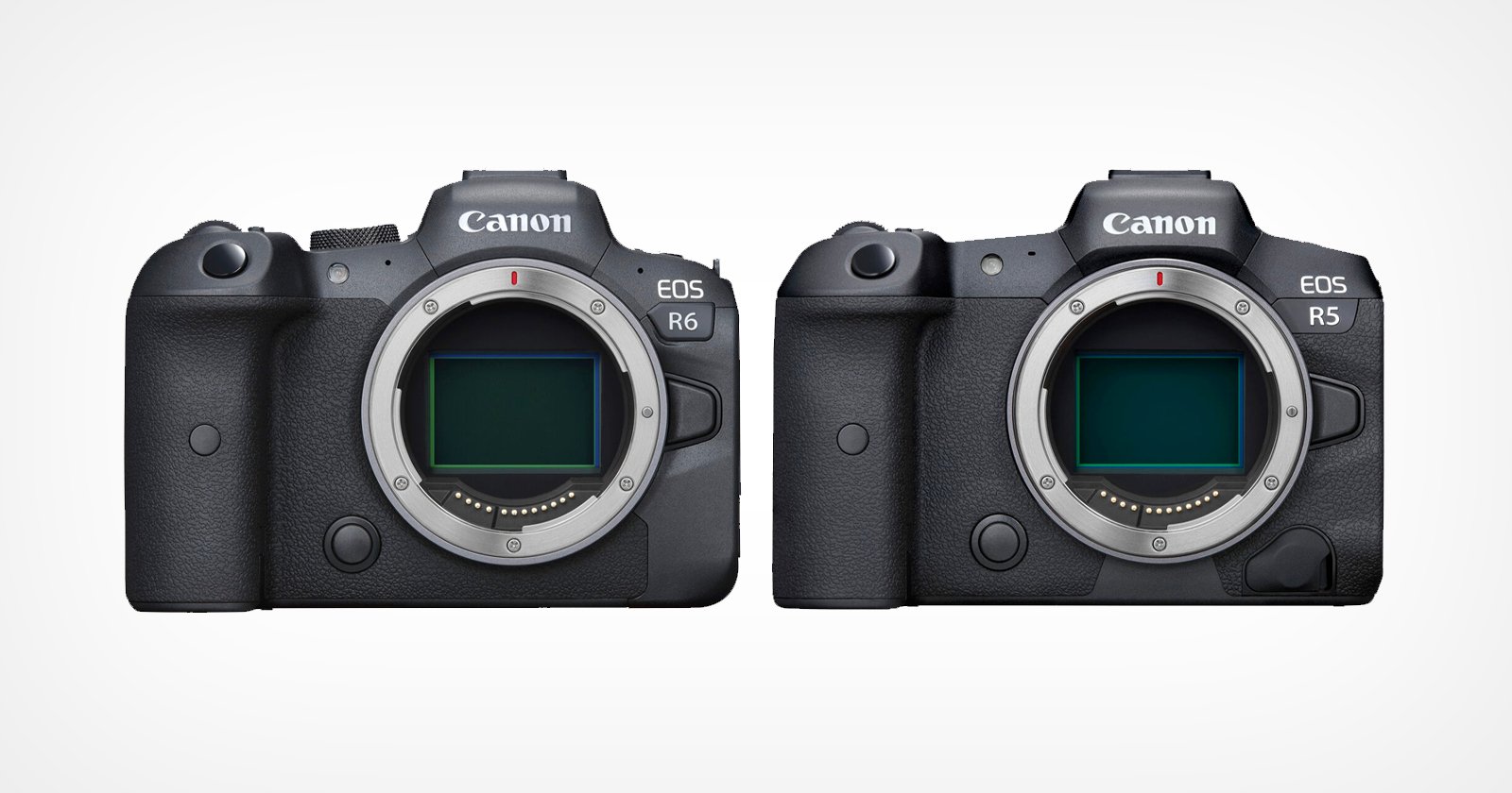 The Canon R5 and R6 side by side on a white background