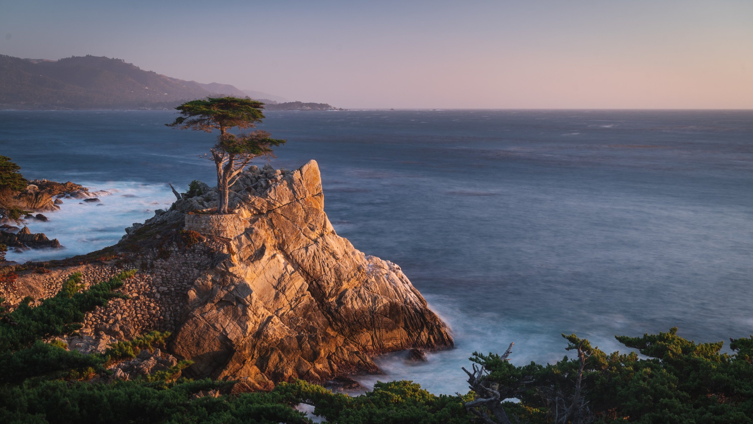 In Defiance of Apple, This is a Nature-Themed macOS Monterey Wallpaper |  PetaPixel