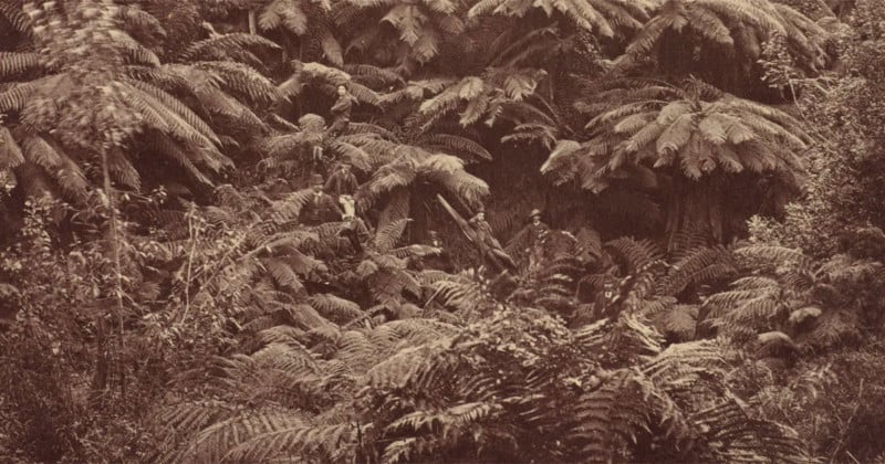 A vintage photo of colonial explorers in the Tasmanian wilderness
