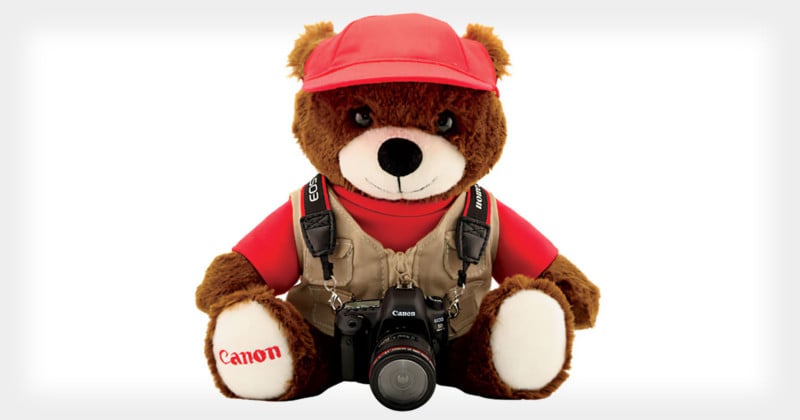 A teddy bear with a DSLR camera around its neck