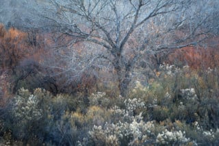 The Winners of a New Landscape Photo Competition That Rewards Realism ...