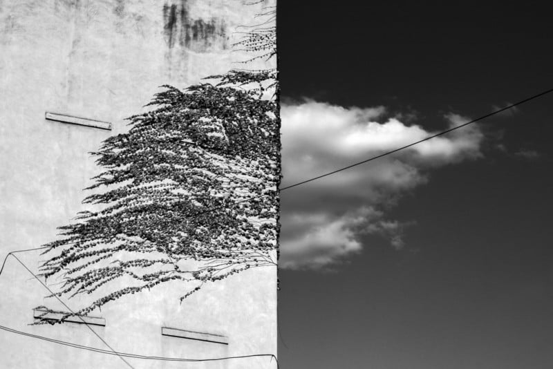 A building with vines that match perfectly with a cloud in the sky