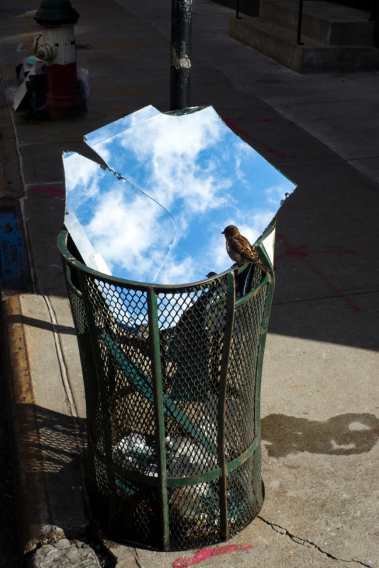 A bird on a trash can next to a broken piece of mirror reflecting the sky