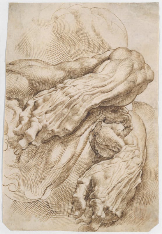 Peter Paul Ruben's 'Anatomical Studies: a left forearm in two positions and a right forearm'