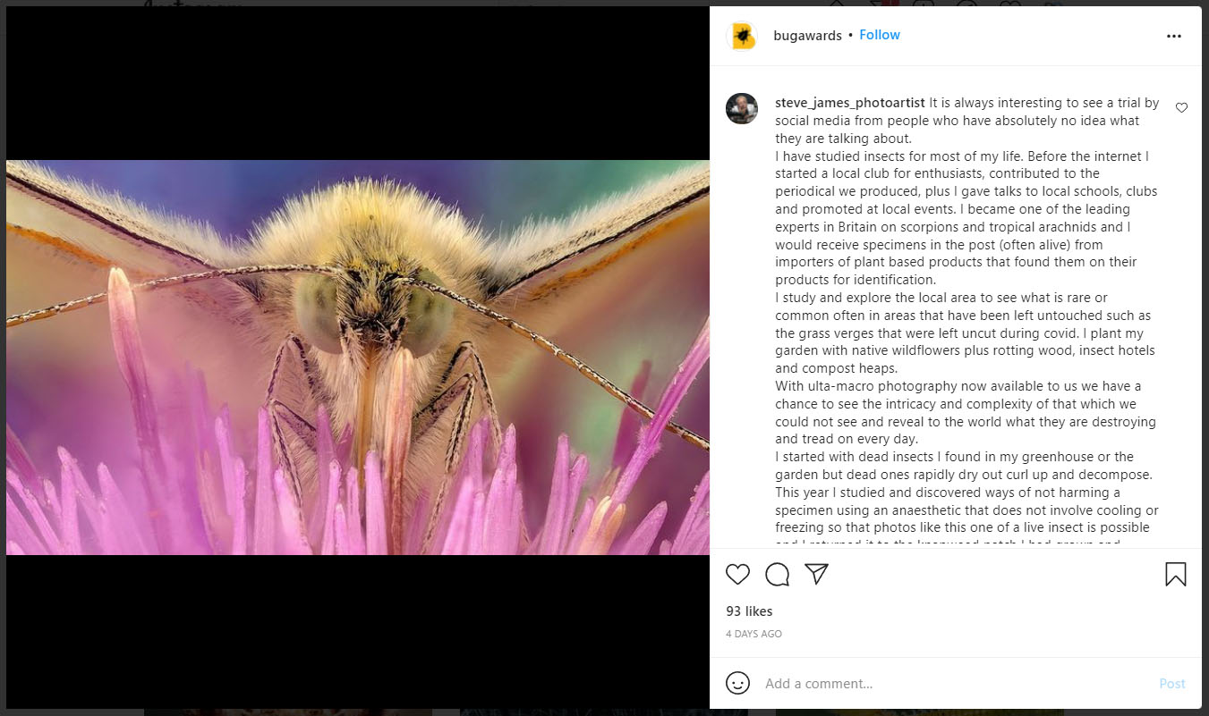 Bug Photographer of the Year Under Fire for Drugging His Subjects ...