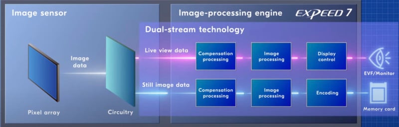 La tecnologia Nikon Z9 “Dual-Stream” registra le immagini e le visualizza senza ritardi