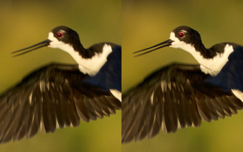 Before and after running the photo through Sharpen AI. 100% crops.