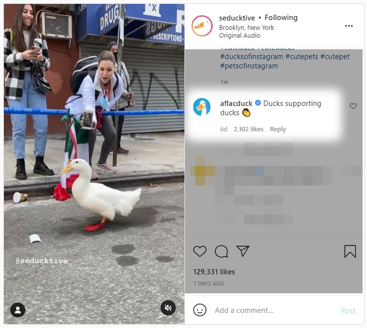 A screenshot of an Instagram photo of a duck running the NYC marathon