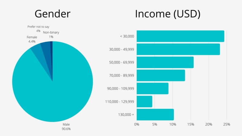 Graphs showing gender and income