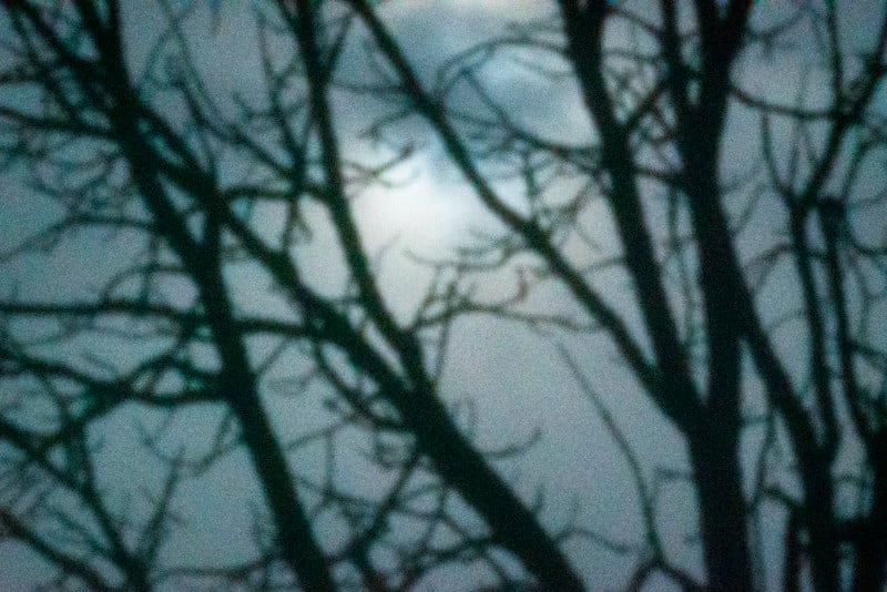 Pringles Can Pinhole telephoto lens example photo