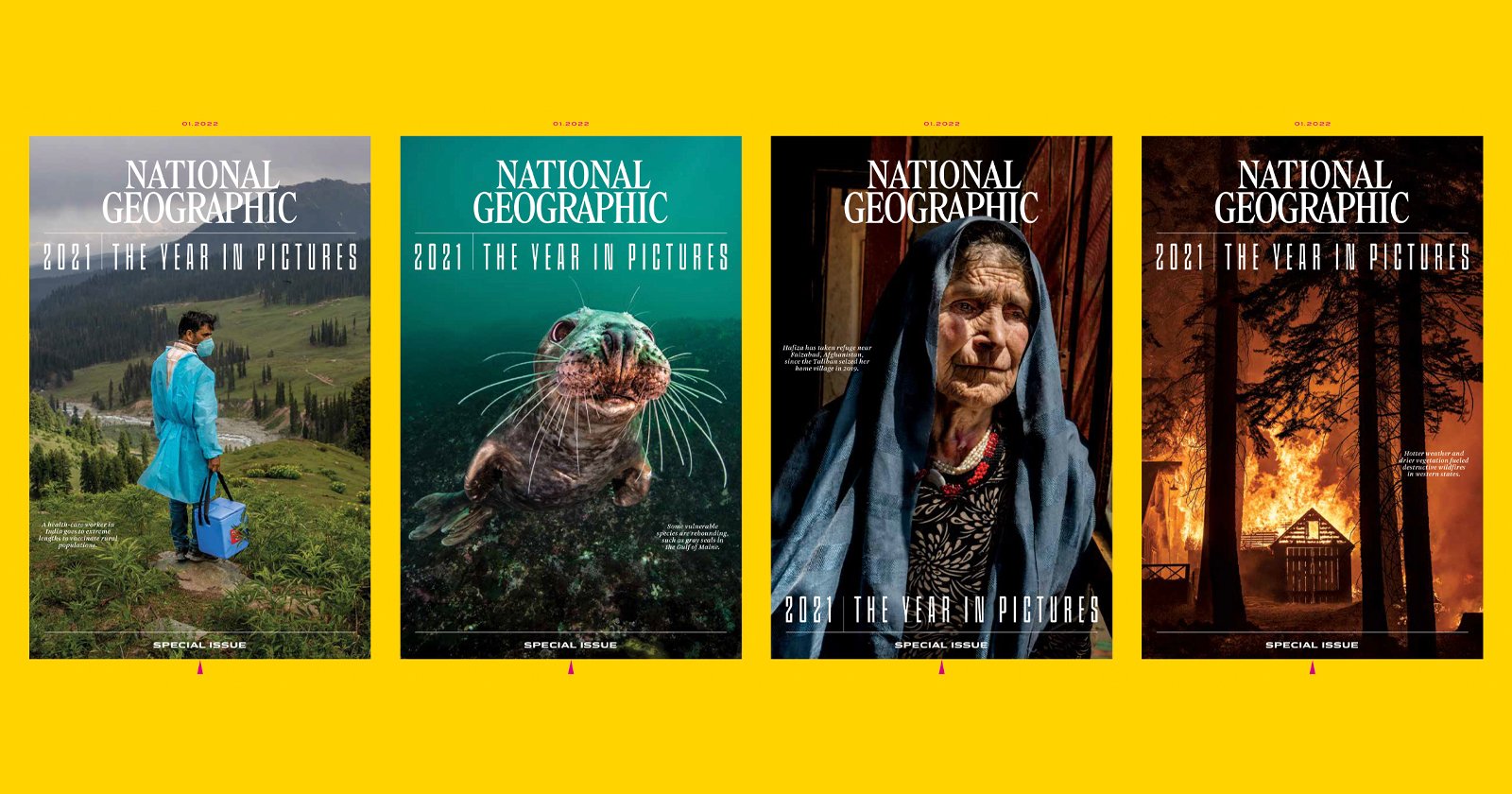 National Geographic 2021 Year in Pictures Four covers side by side