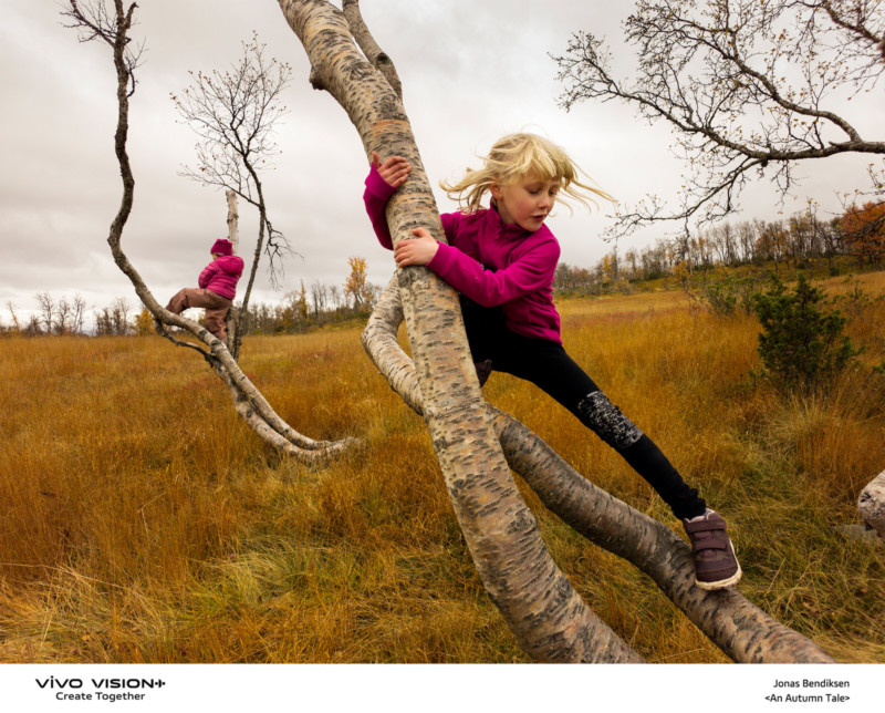 A girl climbing a tree