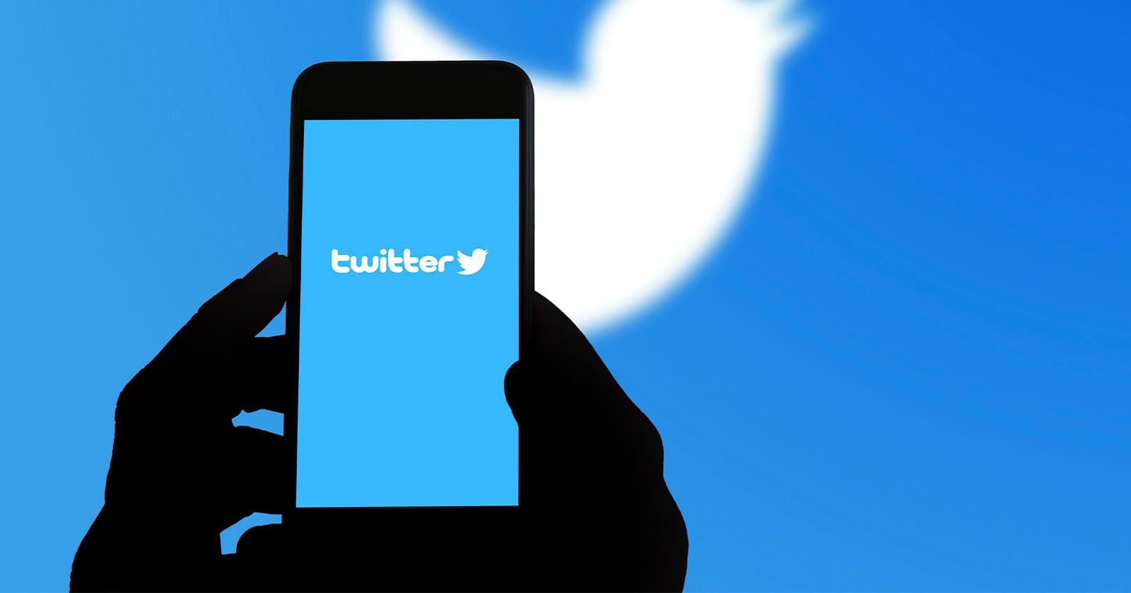 Photo Agency Sues Twitter for $228.9 Million Over Copyright Infringement