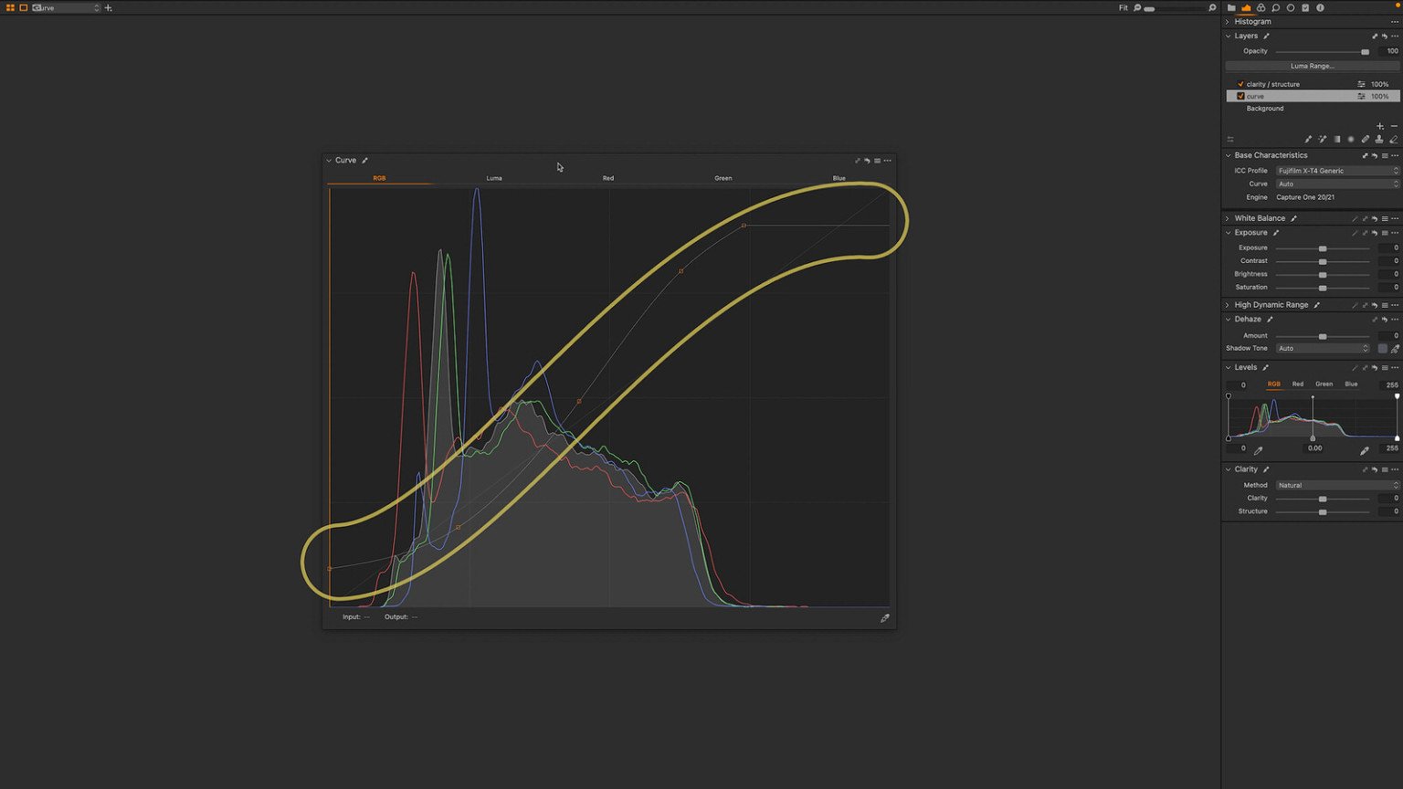 How to Use Curves Effectively in Capture One 22 PetaPixel