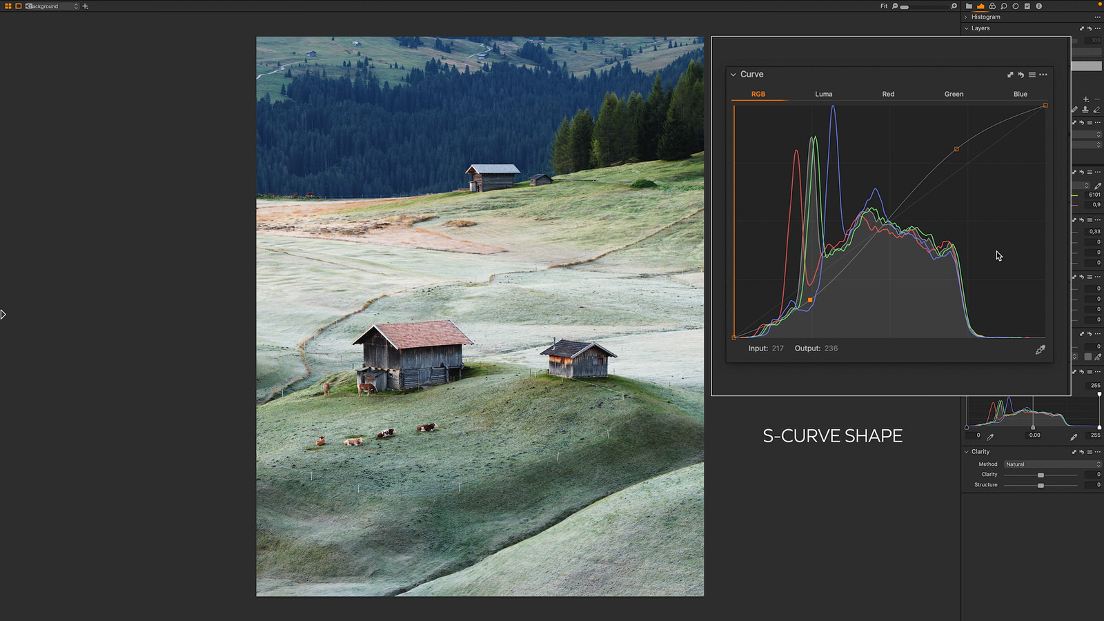 How to Use Curves Effectively in Capture One 22 PetaPixel