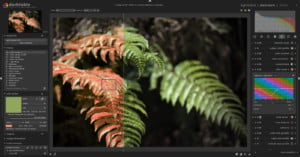 A screenshot of the raw photo processing software darktable