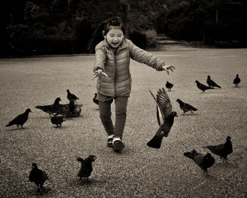 A little girl chasing birds