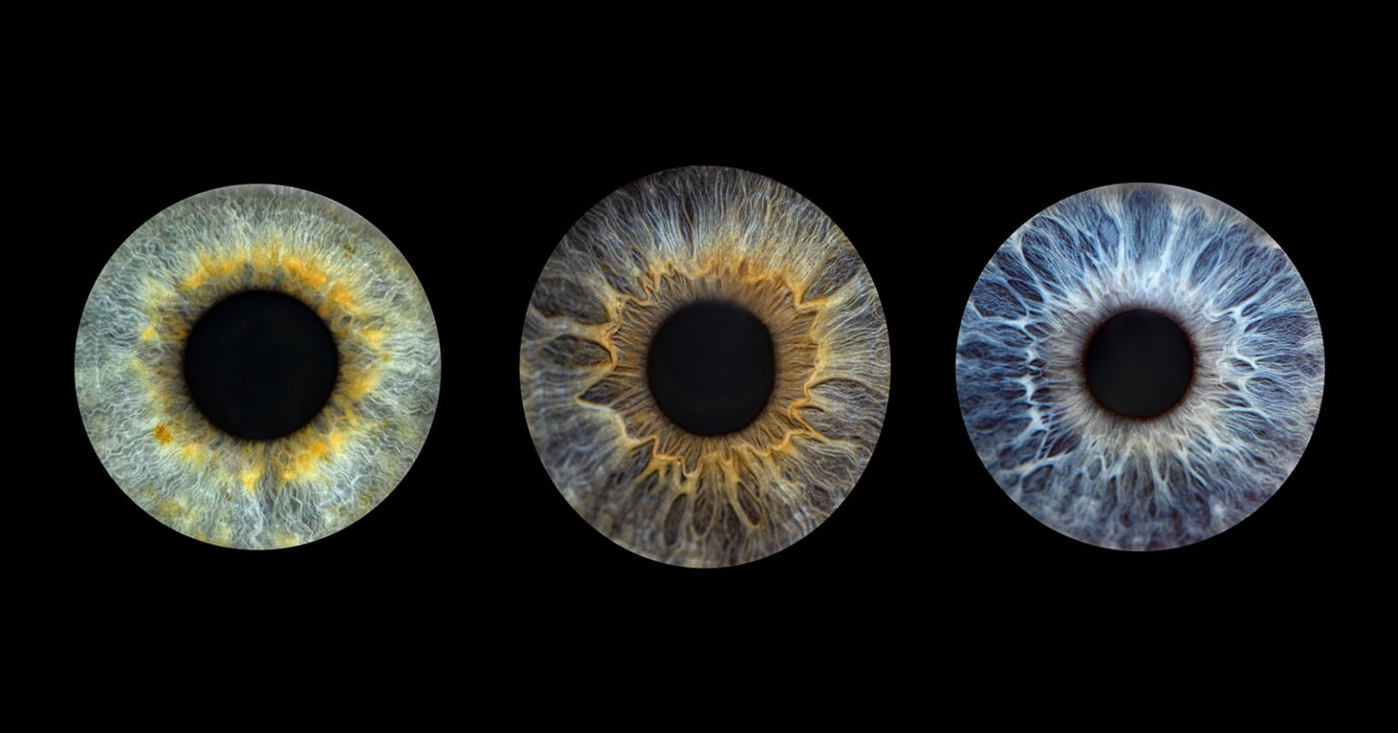 This Woman's Entire Business is Based on Close-Up Photos of Eyes ...