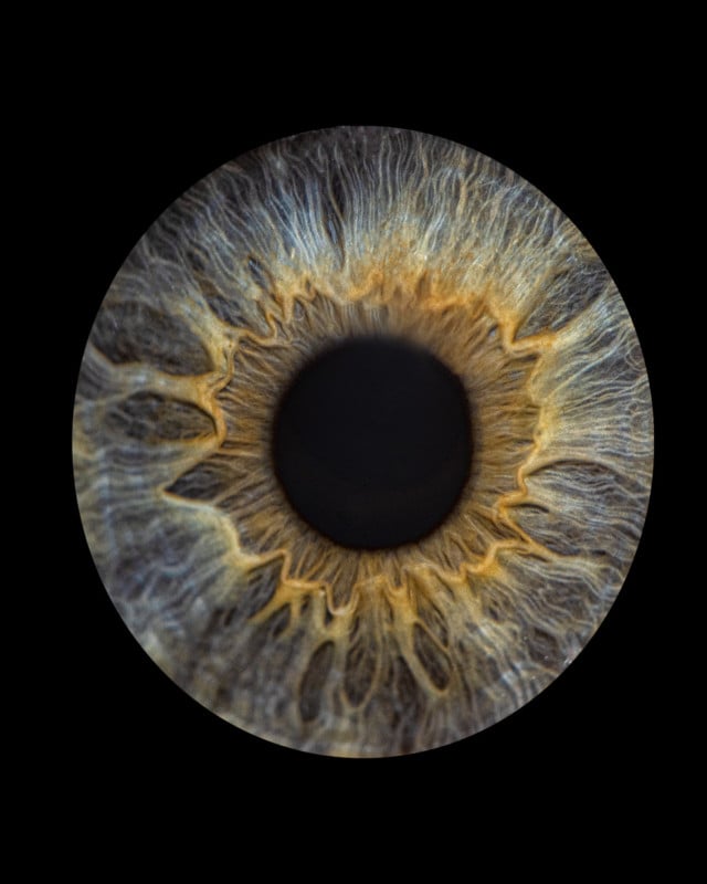 Gia Gioe's macro eye photographs