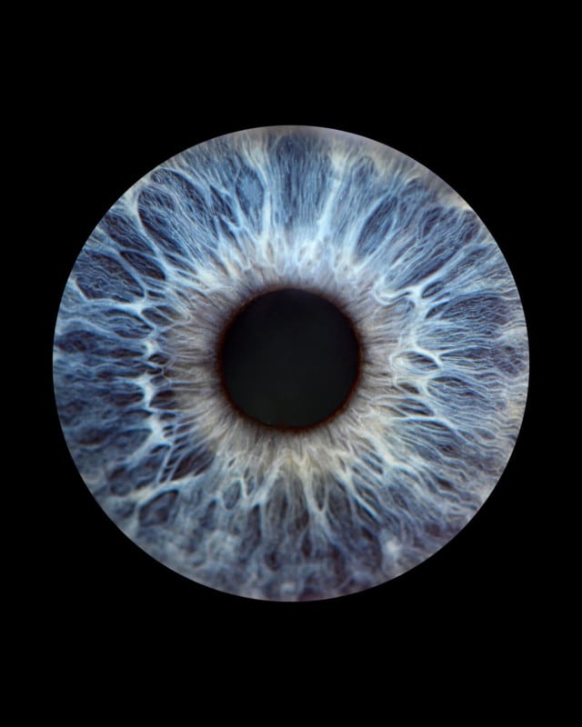 Gia Gioe's macro eye photographs