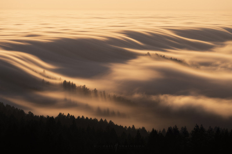 A foggy landscape by photographer Michael Shainblum