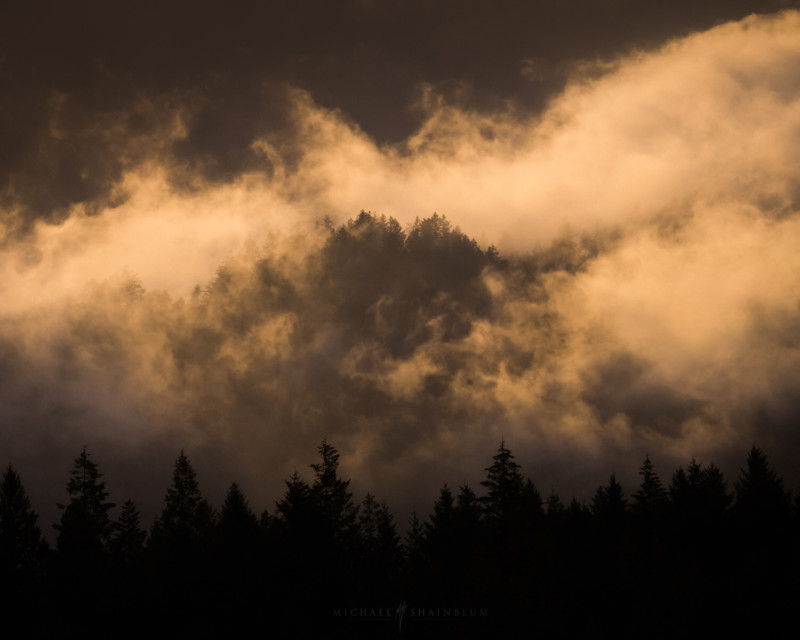 A foggy landscape by photographer Michael Shainblum 