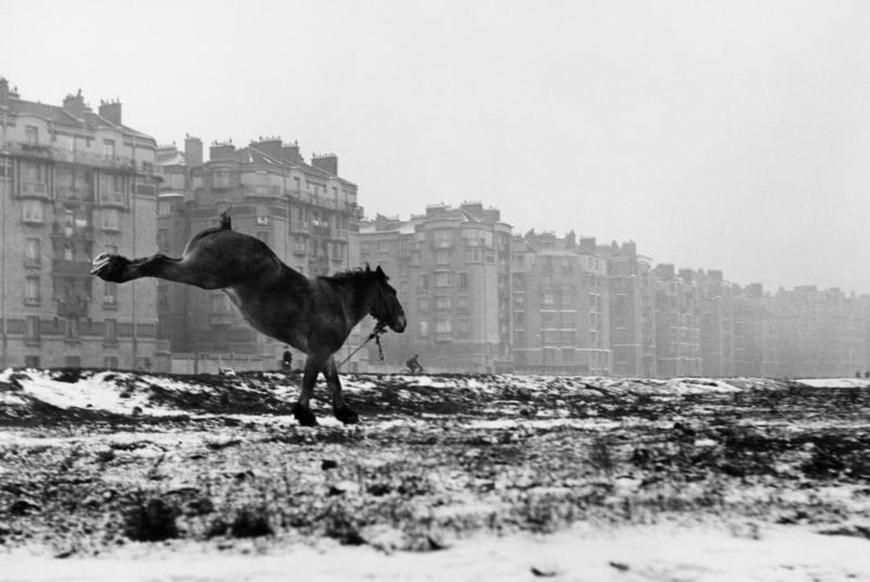 A black and white photo of a horse by Sabine Weiss