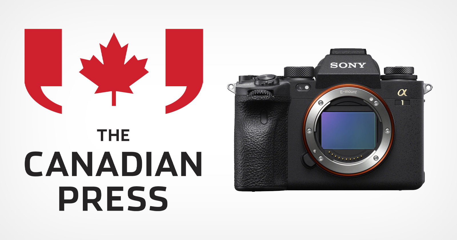 The Canadian Press to exclusively use Sony cameras