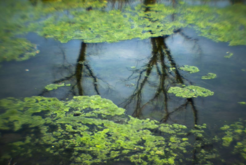 A lake with the reflection of trees