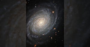 Galaxy NGC 976