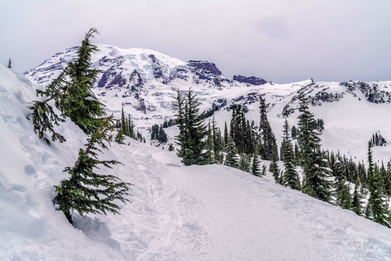 The colors of winter at Paradise, Mount Rainier National Park 