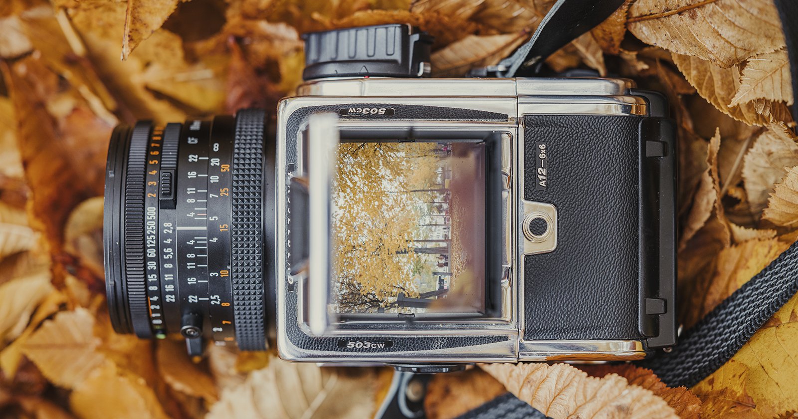 Meer lijden doe niet The Best Medium Format Film Cameras to Buy in 2023 | PetaPixel