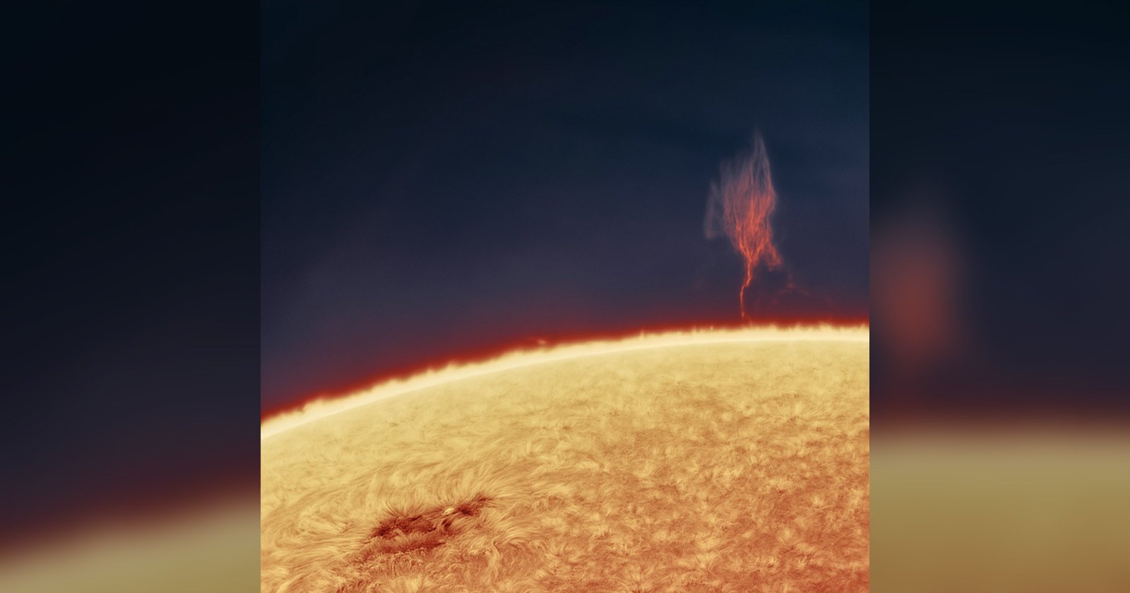 Photographer Captures ‘Plasma Tree’ Exploding into the Sun’s Atmosphere