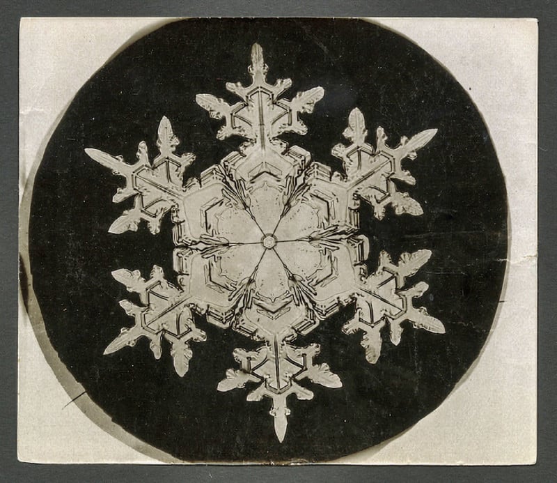 Snowflake 1860