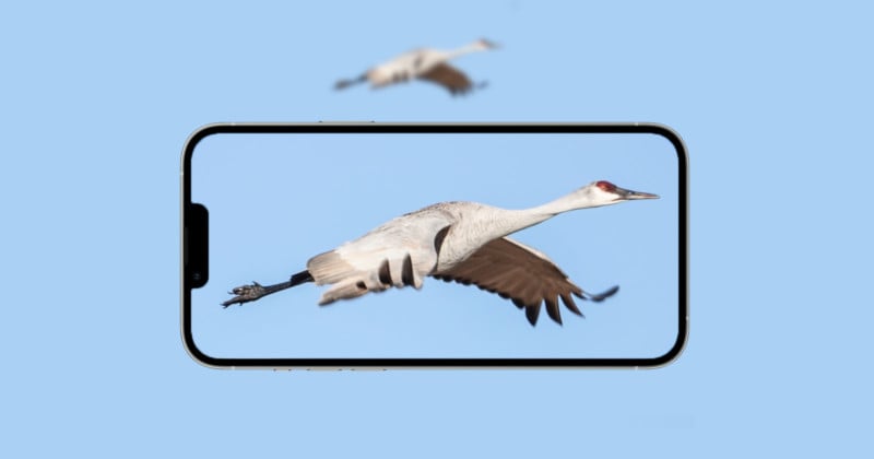 An illustration of an iPhone photographing a bird in flight